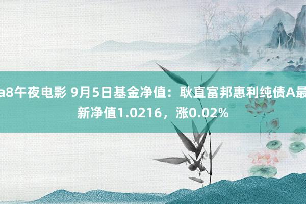 a8午夜电影 9月5日基金净值：耿直富邦惠利纯债A最新净值1.0216，涨0.02%