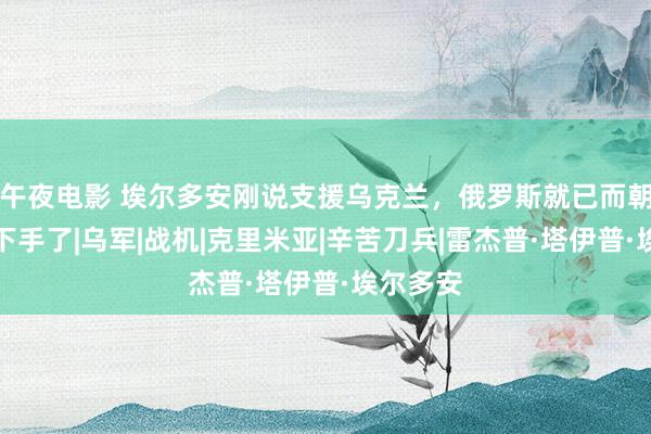 午夜电影 埃尔多安刚说支援乌克兰，俄罗斯就已而朝土耳其下手了|乌军|战机|克里米亚|辛苦刀兵|雷杰普·塔伊普·埃尔多安